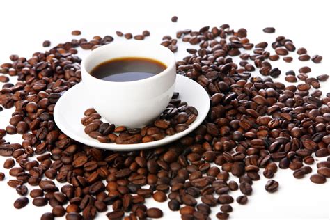 Guide des Cafés du Monde : Explorer la Culture du Café - Tourisme-Aventure