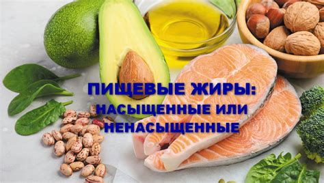 Пищевые жиры: насыщенные или ненасыщенные?