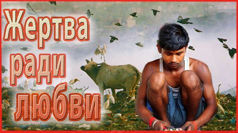 ЖЕРТВА РАДИ ЛЮБВИ. Друг моего мужа поменял веру и поссорился с ...