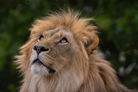 Cape May County Park & Zoo