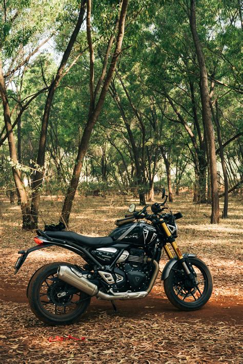 Silver+Dreams+Marisol Photos, Download The BEST Free Silver+Dreams