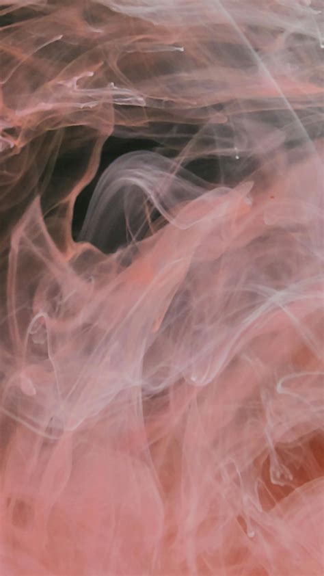 Raster Photos, Download The BEST Free Raster Stock Photos & HD Images