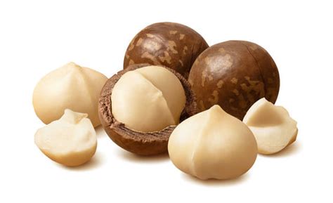 Buy Brazil Nuts Online - Brazil Nuts in Shell for Sale – We Got Nuts