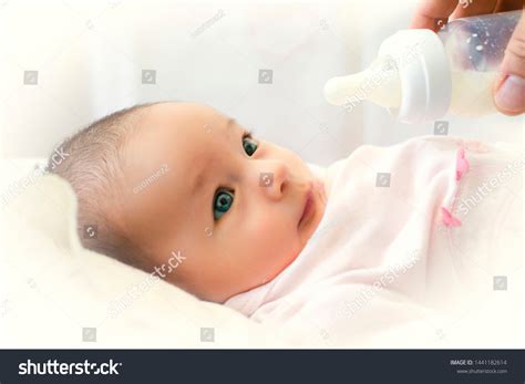 Baby Drinking Breast Milk Baby Food Stock Photo 1441182614 | Shutterstock