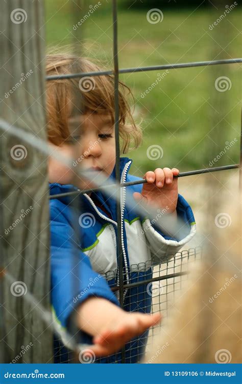 Fun Petting Animals at the Petting Zoo. Stock Photo - Image of enjoy ...