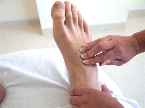 13 Captivating Facts About Dorsalis Pedis Artery - Facts.net