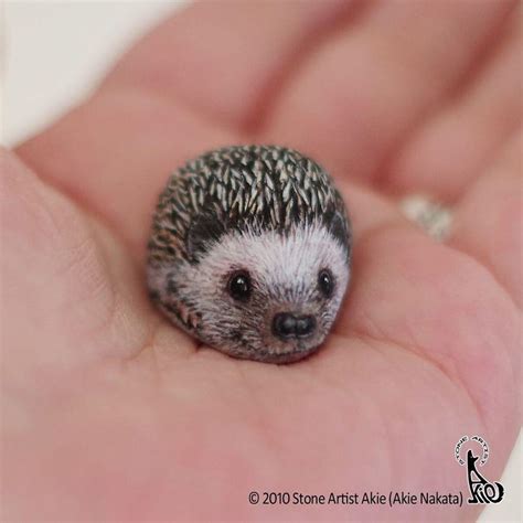 This painting-on-rock art hedgehog : r/Hedgehog